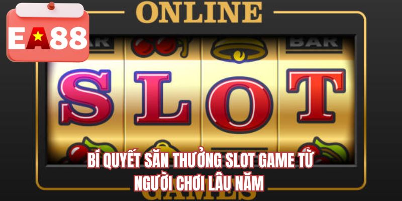 Bí quyết săn thưởng slot game từ người chơi lâu năm 