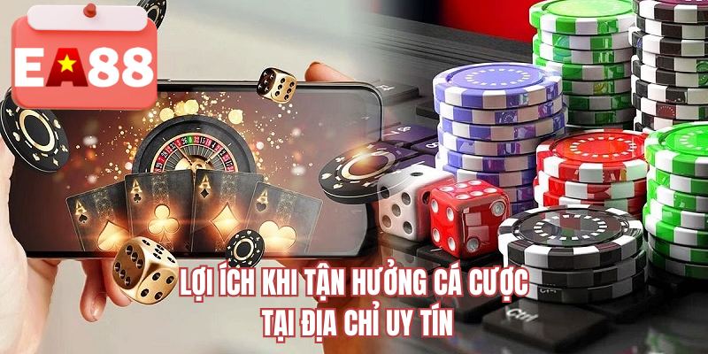 Lợi ích khi tận hưởng cá cược tại địa chỉ uy tín 