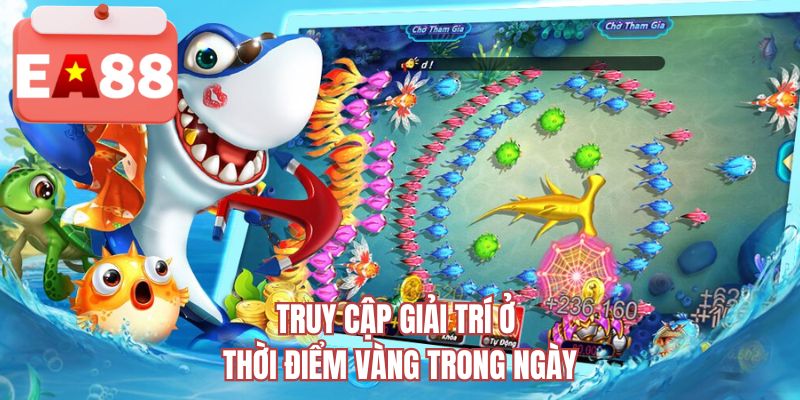 Truy cập giải trí ở thời điểm vàng trong ngày